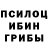 Псилоцибиновые грибы Psilocybe Gulzor Ametova