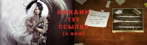 дживик Аркадак