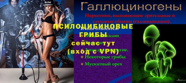 дживик Аркадак
