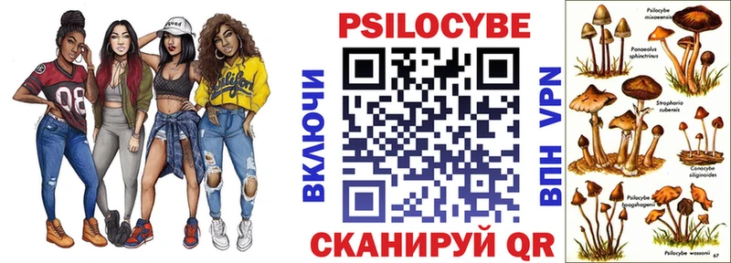 Псилоцибиновые грибы мицелий  Боготол 